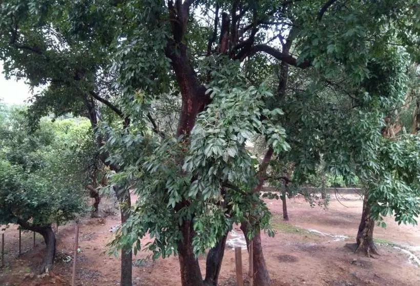 Condo Hotel A Unit Of Rajvihar