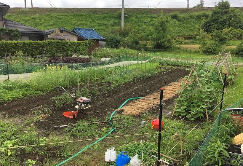 Pensão Guest House Ilonggo