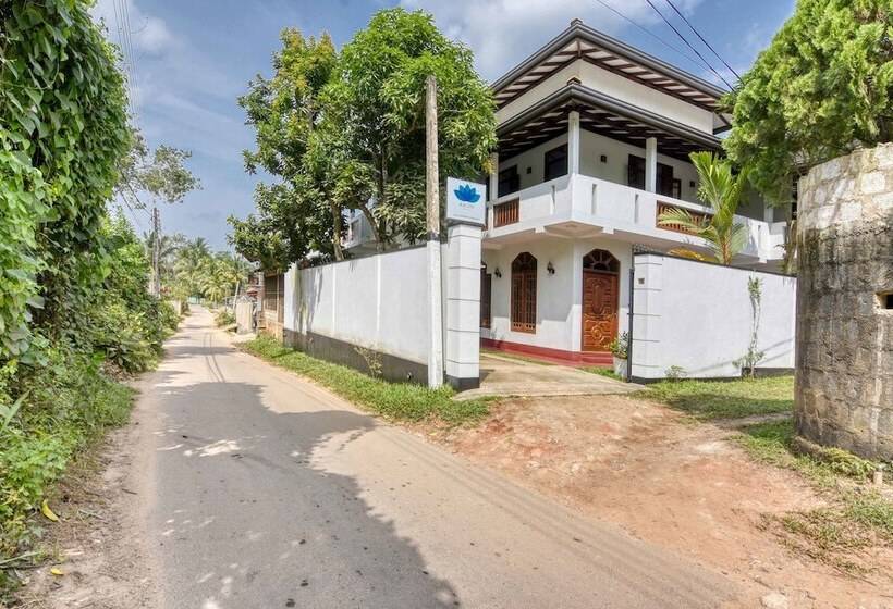 ホテル Blue Lotus Galle