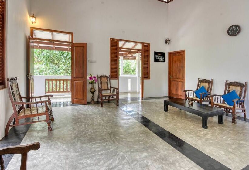 ホテル Blue Lotus Galle