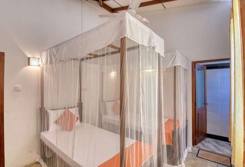 ホテル Blue Lotus Galle