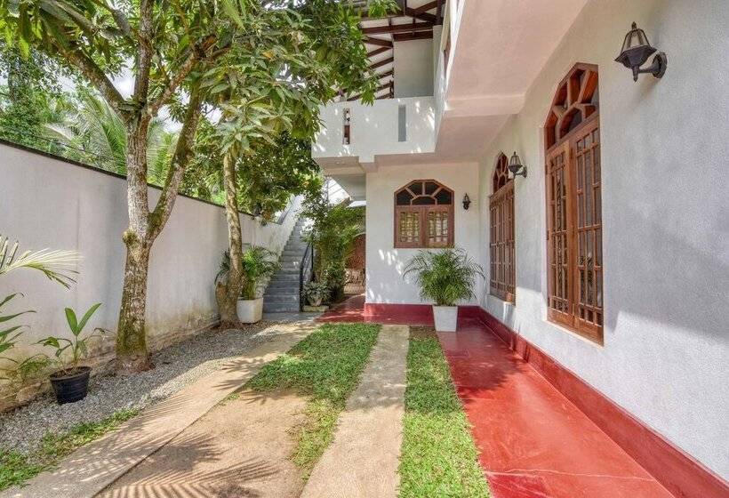 ホテル Blue Lotus Galle