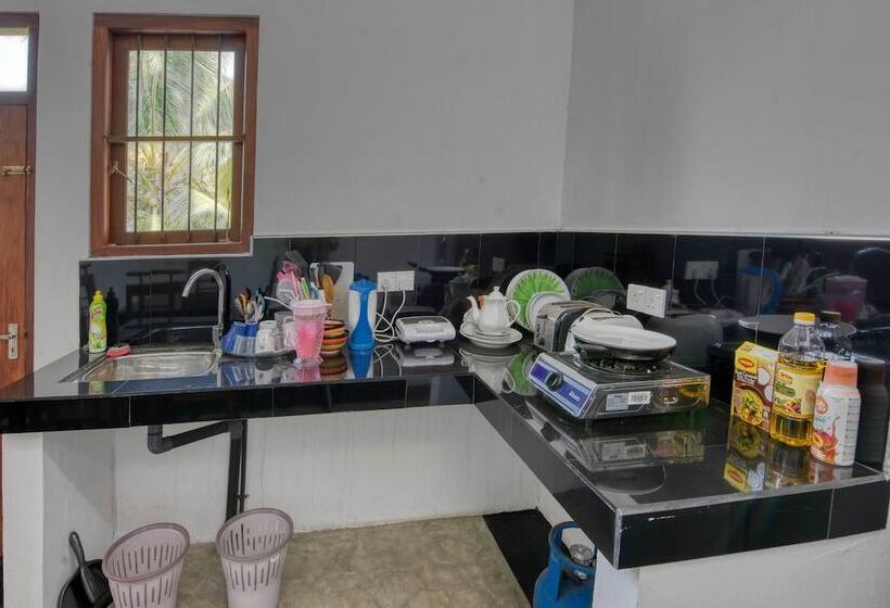 ホテル Blue Lotus Galle