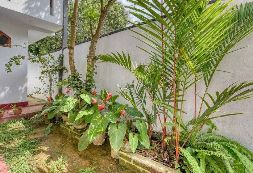 ホテル Blue Lotus Galle