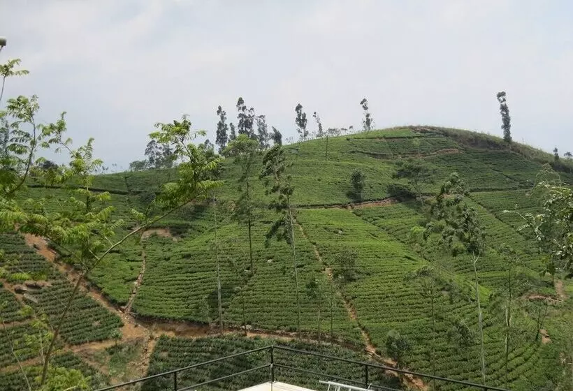 هتل Harrington Heritage