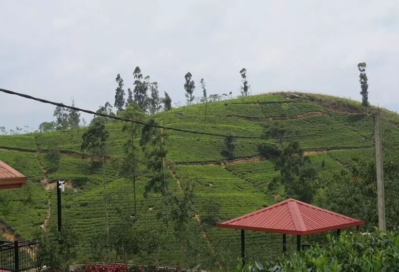 هتل Harrington Heritage