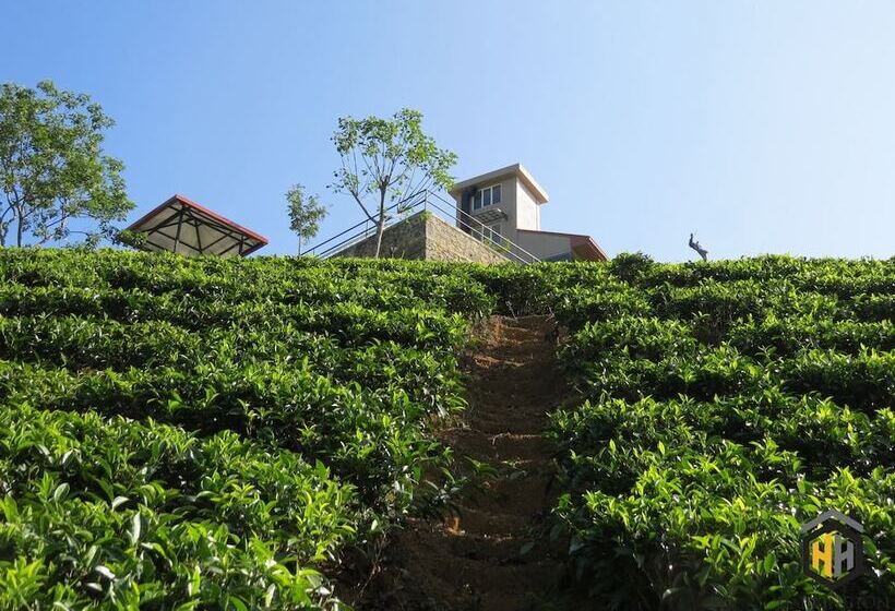 ホテル Harrington Heritage