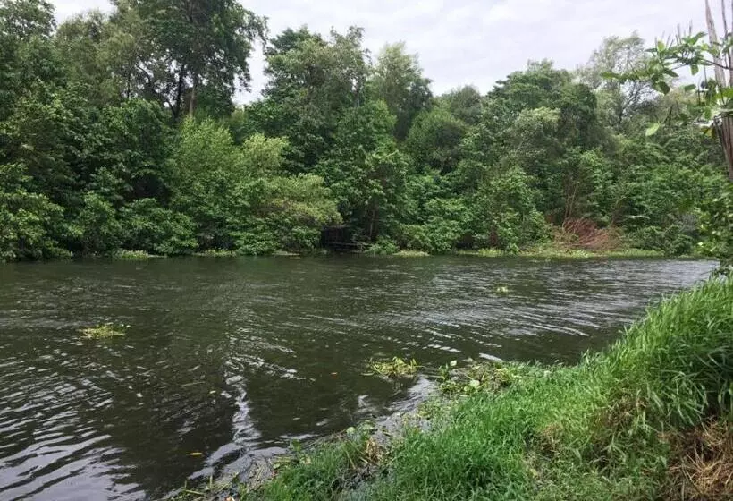 ベッドアンドブレックファースト Pousada & Food 3 Abelhas