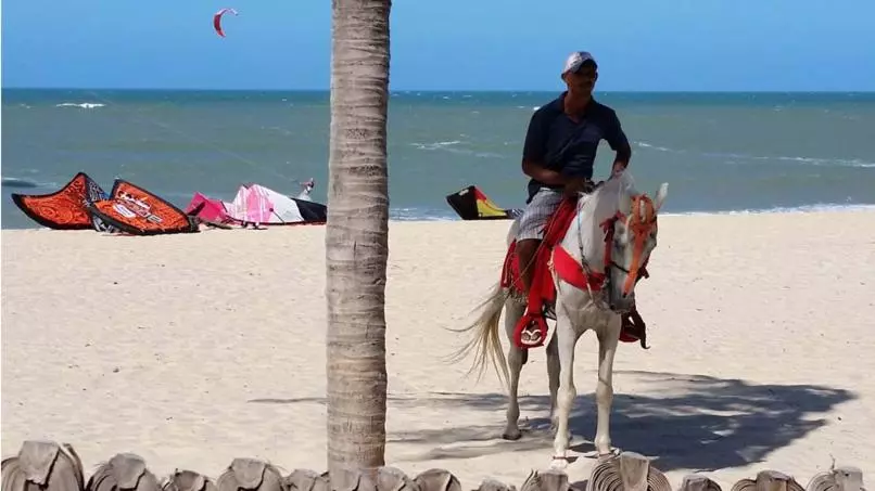 ベッドアンドブレックファースト Pousada & Food 3 Abelhas