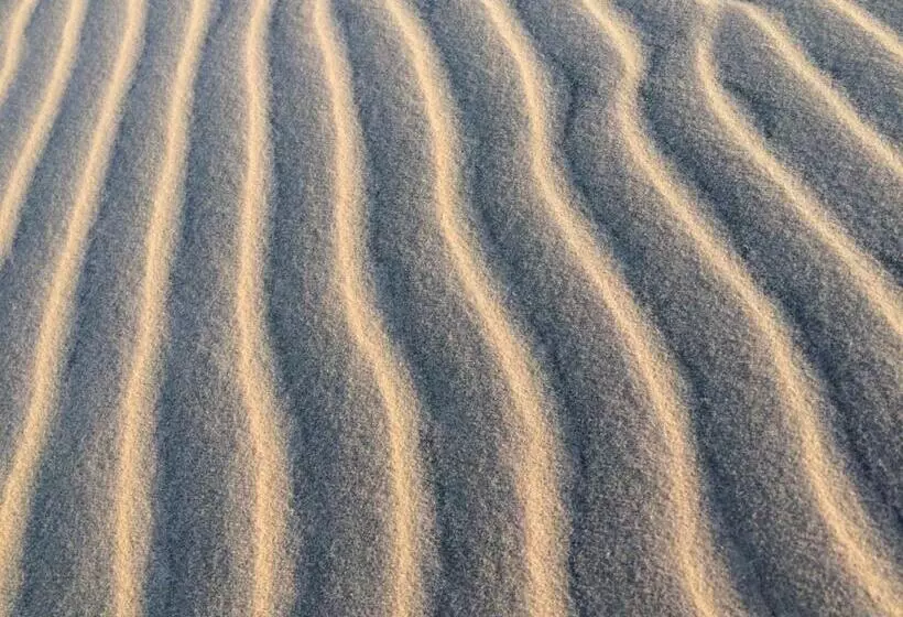 ベッドアンドブレックファースト Pousada & Food 3 Abelhas