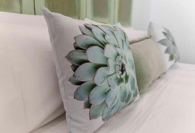 بنسيون Hostal Boutique Olvido 22 Adults Only