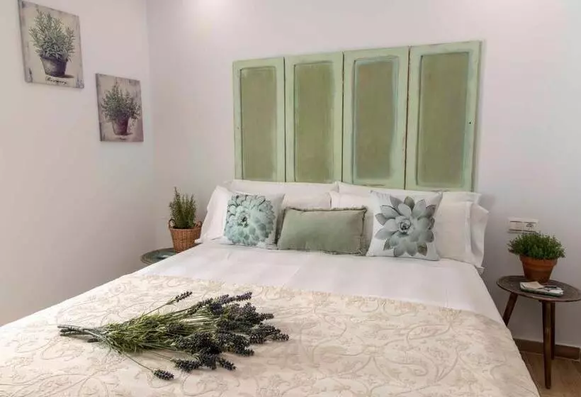 پانسیون Hostal Boutique Olvido 22 Adults Only