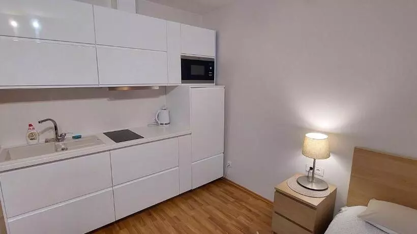Apartamentai šalia Baseino