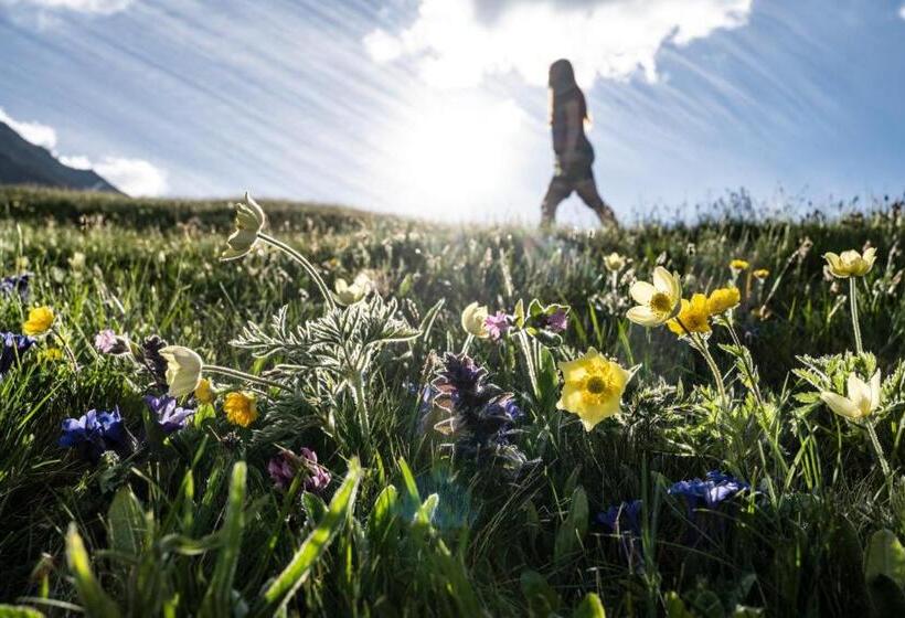 فندق Prunner Luxury Suites   Adults Only