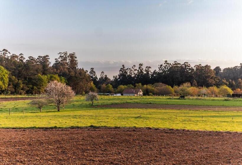 Albergue Espiritu Xacobeo