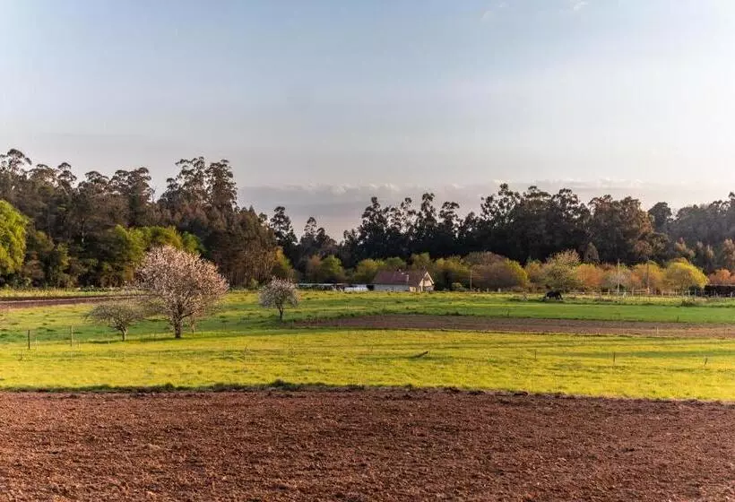 Albergue Espiritu Xacobeo