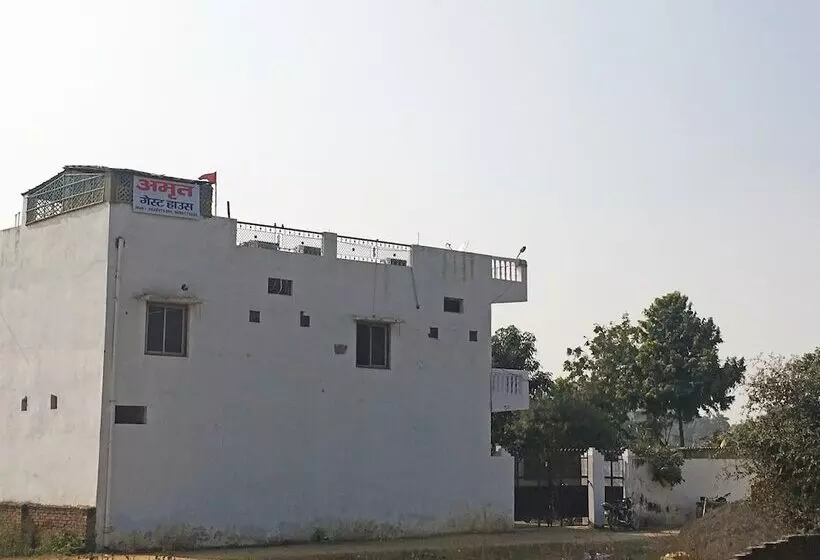 ホテル Oyo 24823 Amrit Guest House