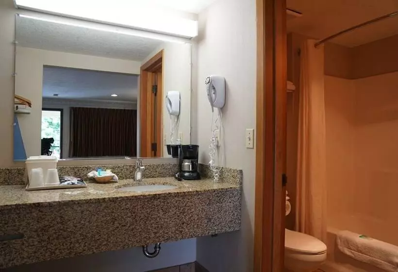 Отель College Inn