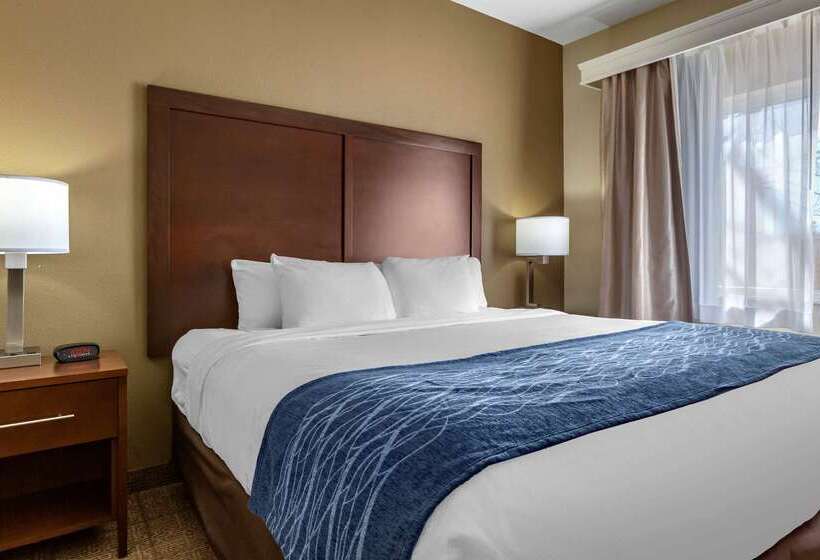 فندق Comfort Inn & Suites Alameda At Albuquerque Balloon Fiesta Park