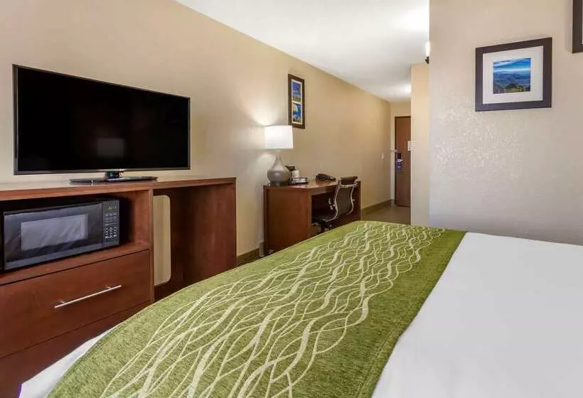 Отель Comfort Inn & Suites Alameda At Albuquerque Balloon Fiesta Park