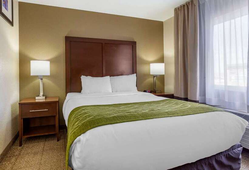 فندق Comfort Inn & Suites Alameda At Albuquerque Balloon Fiesta Park