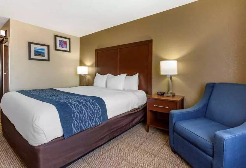 Отель Comfort Inn & Suites Alameda At Albuquerque Balloon Fiesta Park