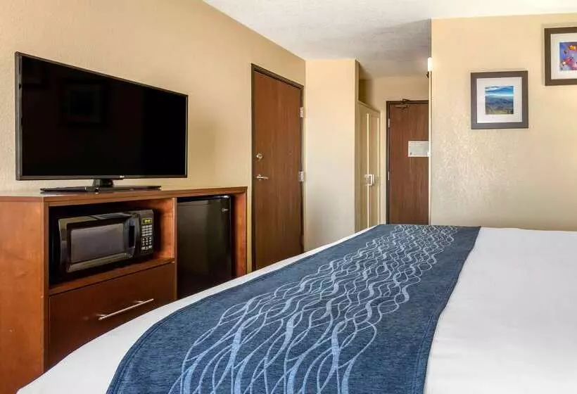 Отель Comfort Inn & Suites Alameda At Albuquerque Balloon Fiesta Park