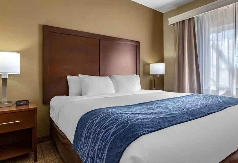 Отель Comfort Inn & Suites Alameda At Albuquerque Balloon Fiesta Park