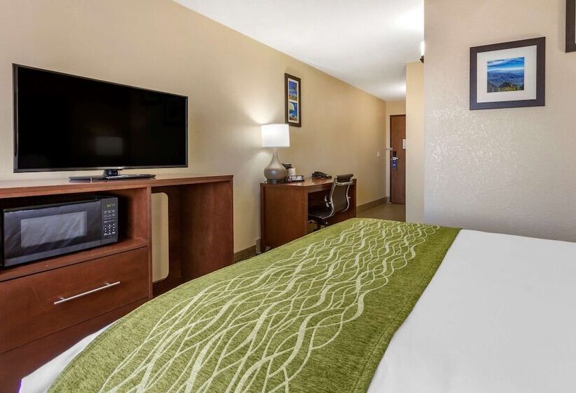 فندق Comfort Inn & Suites Alameda At Albuquerque Balloon Fiesta Park