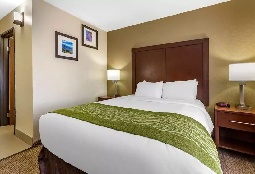 Отель Comfort Inn & Suites Alameda At Albuquerque Balloon Fiesta Park