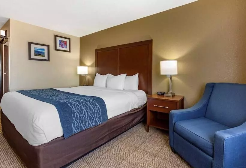 Отель Comfort Inn & Suites Alameda At Albuquerque Balloon Fiesta Park