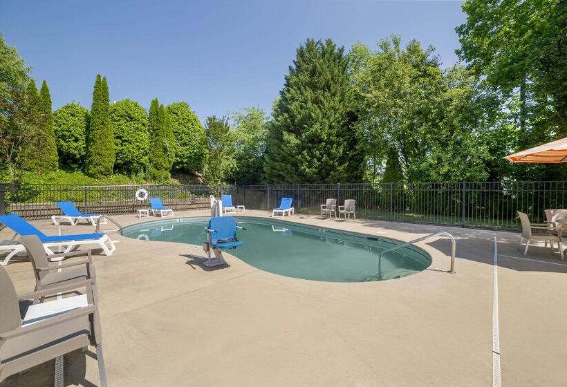 ホテル Comfort Inn Asheville Airport