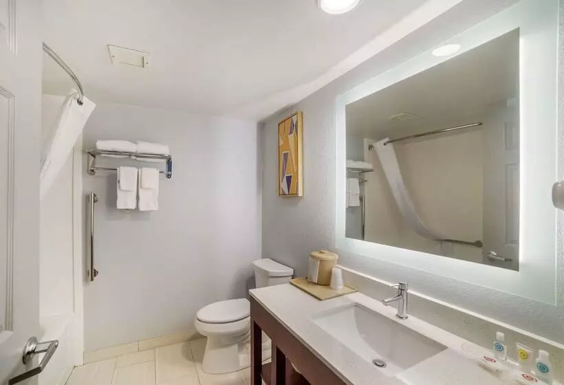 هتل Comfort Inn Asheville Airport