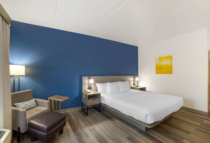 ホテル Comfort Inn Asheville Airport