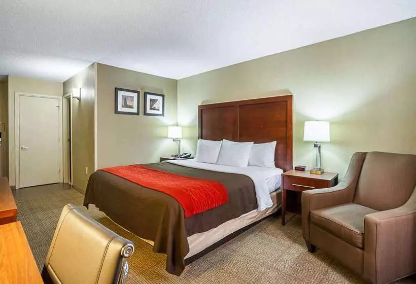 Отель Comfort Inn Downtown