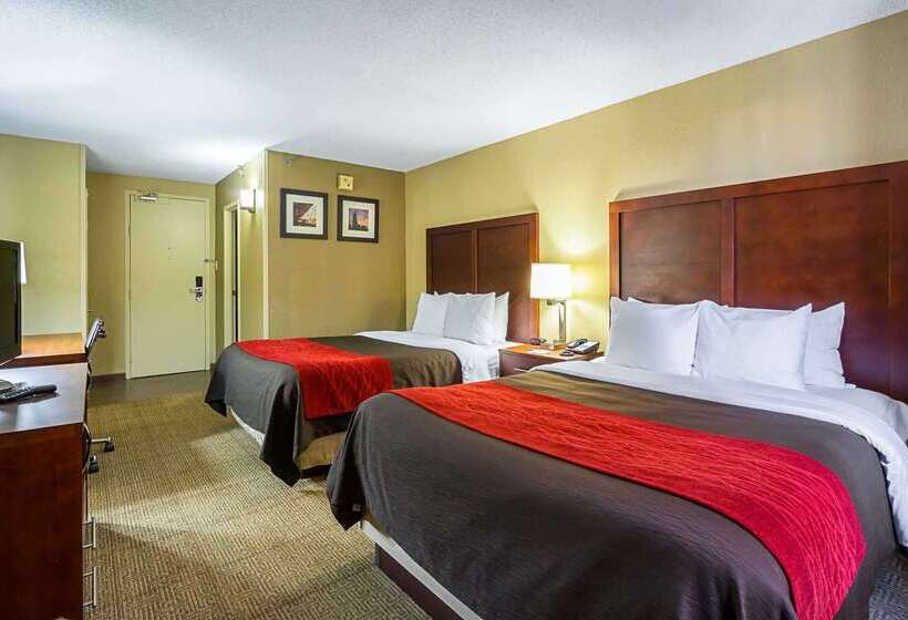هتل Comfort Inn Downtown