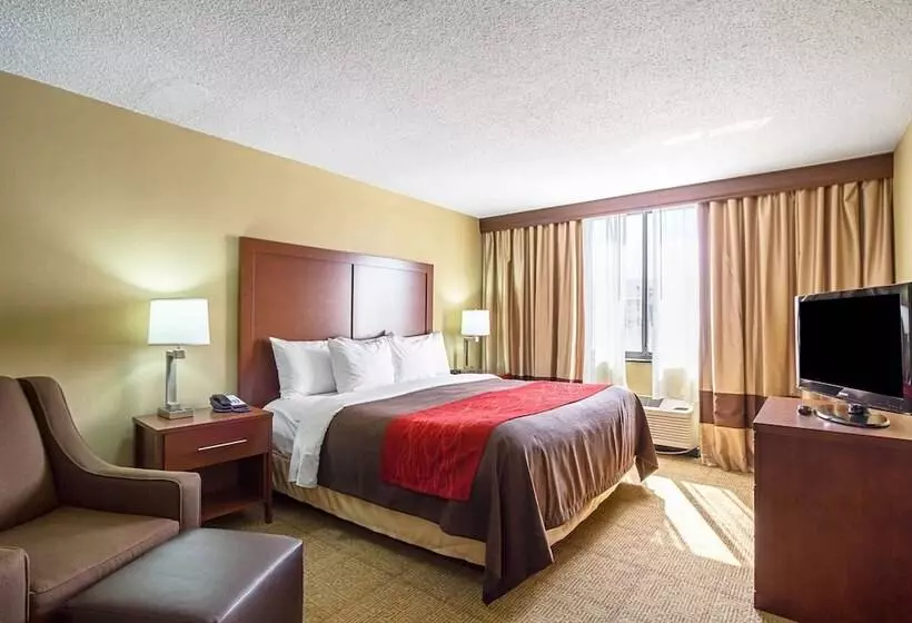 Отель Comfort Inn Downtown
