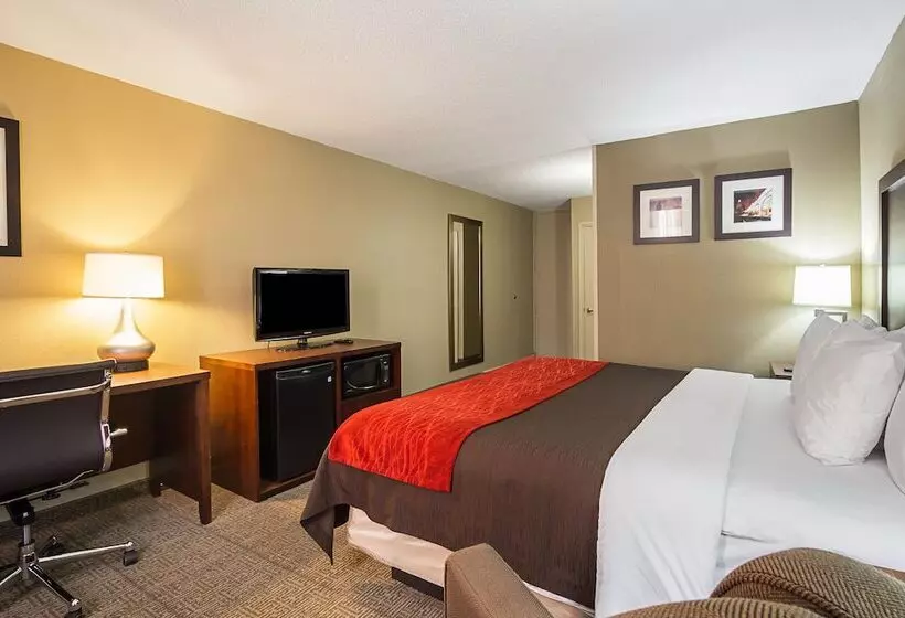 Отель Comfort Inn Downtown