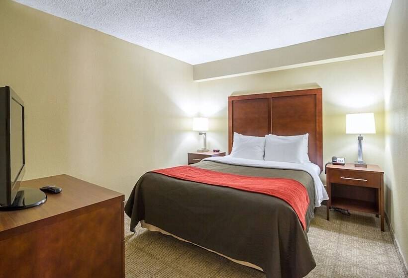هتل Comfort Inn Downtown