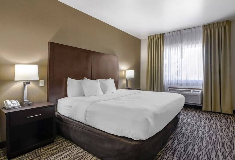 فندق Comfort Suites Portland Airport