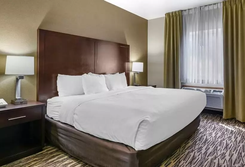 酒店 Comfort Suites Portland Airport