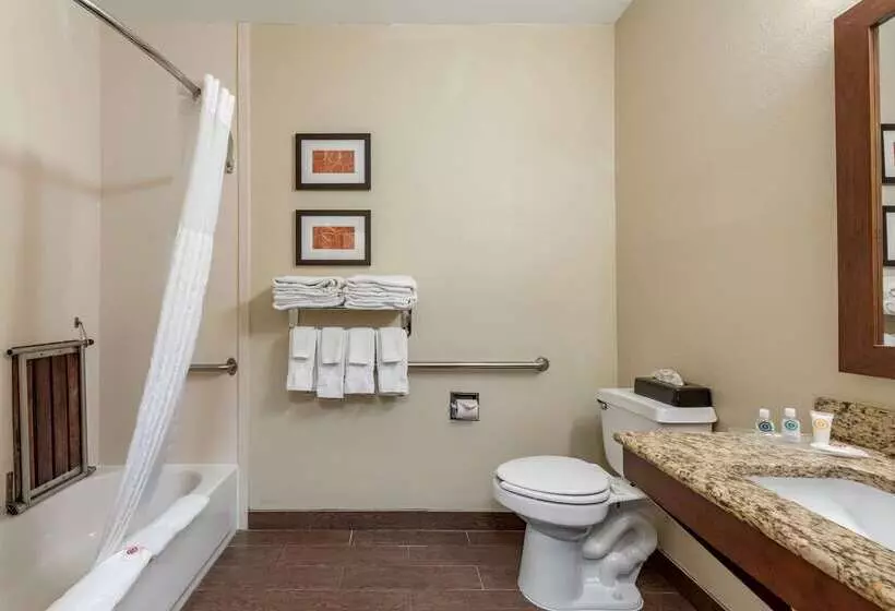 酒店 Comfort Suites Terre Haute University Area