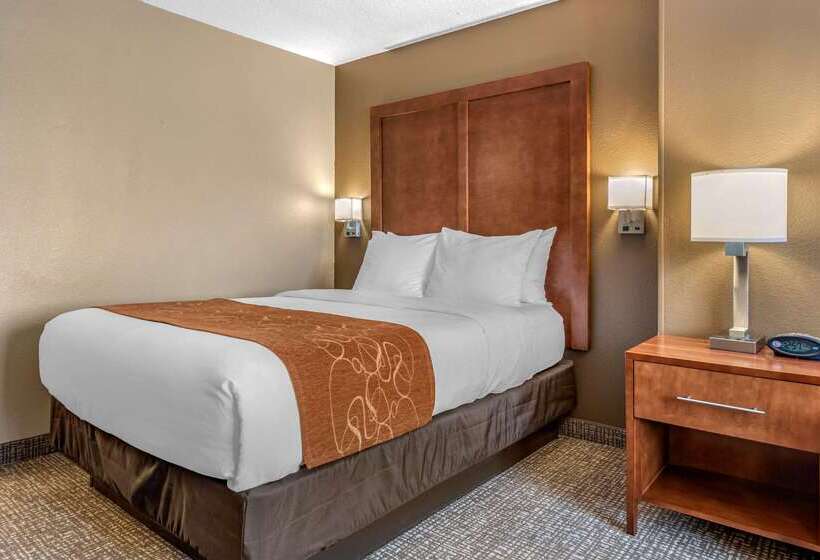 בית מלון כפרי Comfort Suites Terre Haute University Area