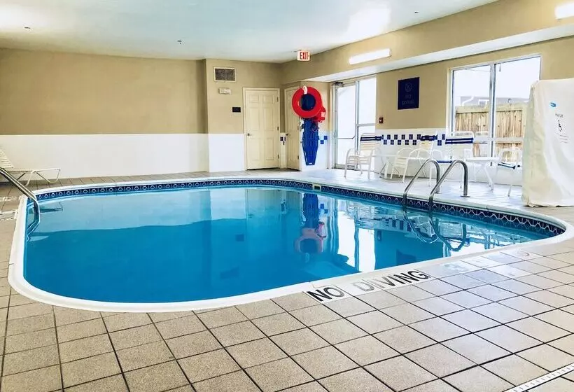 酒店 Comfort Suites Terre Haute University Area