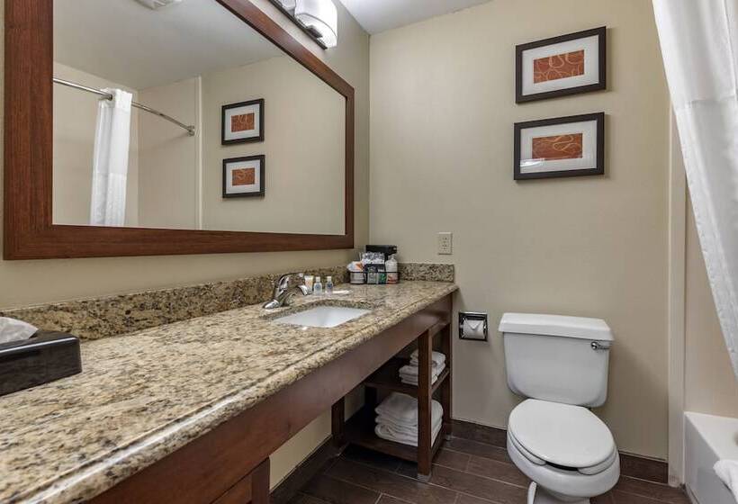 בית מלון כפרי Comfort Suites Terre Haute University Area