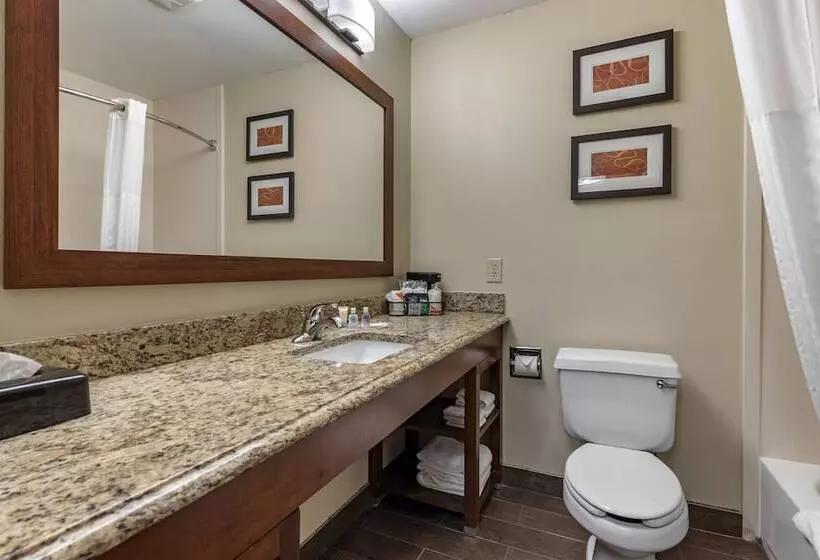 酒店 Comfort Suites Terre Haute University Area