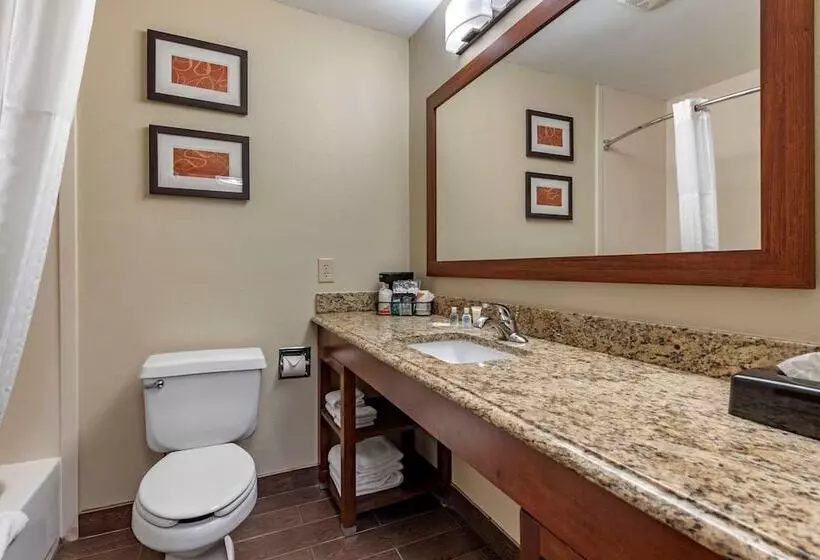 酒店 Comfort Suites Terre Haute University Area