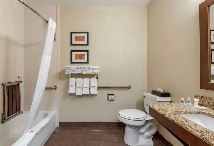 酒店 Comfort Suites Terre Haute University Area