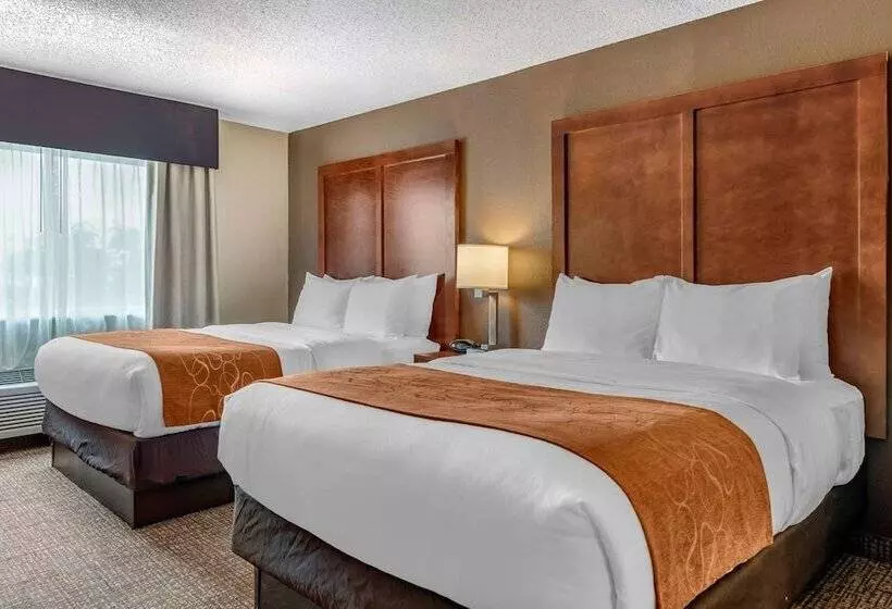 酒店 Comfort Suites Terre Haute University Area