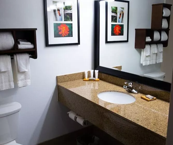 호텔 Country Inn & Suites By Radisson, Burlington Elon , Nc